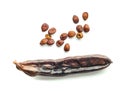 Carob pods with seeds on white background