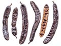 Carob pods on the white background Royalty Free Stock Photo