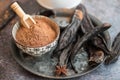 Carob powder and pods Royalty Free Stock Photo