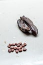 Carob Seeds and Pods Carats / Locust Beans Ready to Use