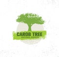 Carob Tree Natural Sweets Organic Food Illustration On Grunge Background