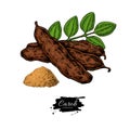 Carob vector superfood drawing. Isolated hand drawn illustratio