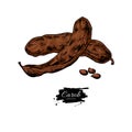 Carob vector superfood drawing. Isolated hand drawn illustratio