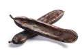 Carobs pods Royalty Free Stock Photo