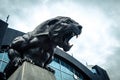 North Carolina Panthers football panther statue roaring fierce