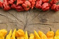 Carolina reaper and fatalii hot peppers Royalty Free Stock Photo