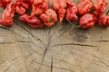 Carolina reaper hot peppers