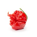 Carolina Reaper, the hottest chile pepper Capsicum chinense, whole ripe pod, isolated on white background. Superhot or