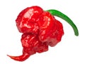 Carolina reaper pepper c. chinense, paths Royalty Free Stock Photo