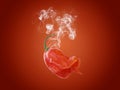 Carolina reaper pepper