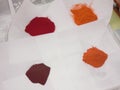 Carotenoid pigments Royalty Free Stock Photo