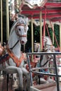 carousel funfair amusement park horse merry go round