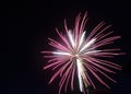 Carousel of pink fireworks circle through the night sky Royalty Free Stock Photo