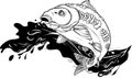 Carp in Black and white. Vector sketch of a fish isolated