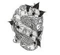 Carp fish and chrysanthemum tattoo by hand drawing.