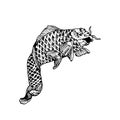 Carp fish, hand drawn doodle black ink drawing, woodcut Royalty Free Stock Photo