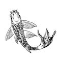Carp fish, hand drawn doodle black ink drawing, woodcut Royalty Free Stock Photo