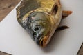 Carp fish lies on a cutting board and breathes with gills