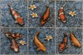 CARP fish mosaic tiles Royalty Free Stock Photo