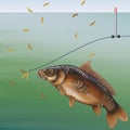 Carp fishing Royalty Free Stock Photo