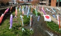 Carp flag on Children`s Day in Japan