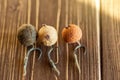 Carp Hook Boilies - Fishing Bait close up Royalty Free Stock Photo