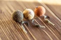 Carp Hook Boilies - Fishing Bait close up Royalty Free Stock Photo