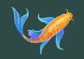 Carp koi polygonal fancy illustration eps10 Royalty Free Stock Photo