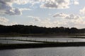 Carp lake in the evening in Frankonia