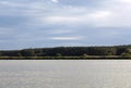 Carp lake in Frankonia in Germany