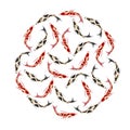 Carp, set of koi carps, red and black fish. Hand drawn circle fishes. Royalty Free Stock Photo