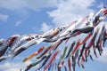 Carp streamer Royalty Free Stock Photo