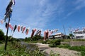 Carp streamer Royalty Free Stock Photo