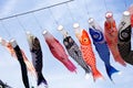 Carp streamer Royalty Free Stock Photo