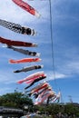 Carp streamer Royalty Free Stock Photo