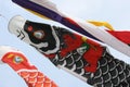 Carp streamers koinobori Royalty Free Stock Photo