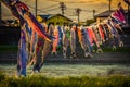 Carp streamers or koinobori over the Kitakami River blowing in strong wind at Tenshochi Park,Kitakami,Iwate,Tohoku,Japan. Royalty Free Stock Photo