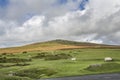 Carpark view of Cox Tor in Dartmoor Royalty Free Stock Photo