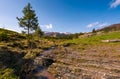 Carpathian alpine countryside in springtime Royalty Free Stock Photo