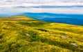 Carpathian alps with huge boulders on hillsides