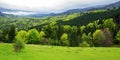 carpathian countryside scenery with forested mountains Royalty Free Stock Photo