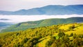 carpathian countryside scenery on a sunny morning in summer