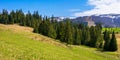 Carpathian countryside springtime Royalty Free Stock Photo