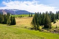 Carpathian countryside springtime Royalty Free Stock Photo