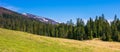 Carpathian countryside springtime Royalty Free Stock Photo