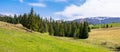 Carpathian countryside springtime Royalty Free Stock Photo