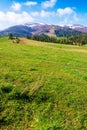 Carpathian countryside in springtime Royalty Free Stock Photo