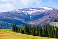 Carpathian countryside in springtime Royalty Free Stock Photo