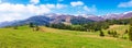 Carpathian countryside in springtime Royalty Free Stock Photo