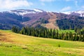 Carpathian countryside in springtime Royalty Free Stock Photo